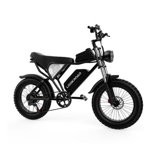 Q30 Electric Bike – Power, Comfort & Long-Range Performance