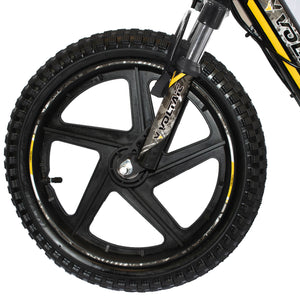 Kids Electric Balance bike 16'' Tire Removable battery LION PRO