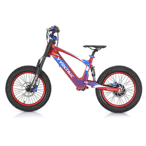 Youth Electric Dirt Bike 18'' Voltaic Flying Fox Red